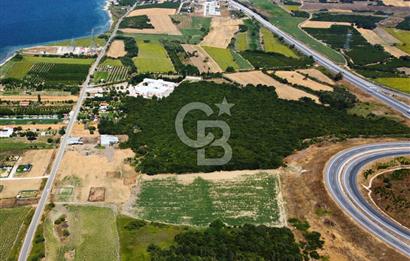 Çanakkale Lapseki Suluca'da Etrafı Orman Boğaz Manzaralı Arazi