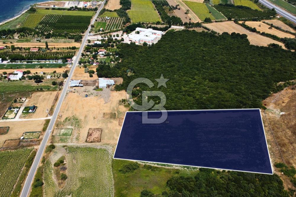 Çanakkale Lapseki Suluca'da Etrafı Orman Boğaz Manzaralı Arazi