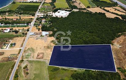 Çanakkale Lapseki Suluca'da Etrafı Orman Boğaz Manzaralı Arazi