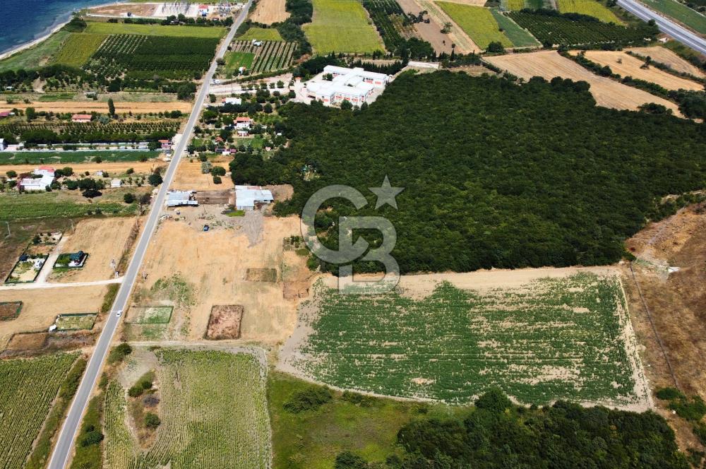 Çanakkale Lapseki Suluca'da Etrafı Orman Boğaz Manzaralı Arazi