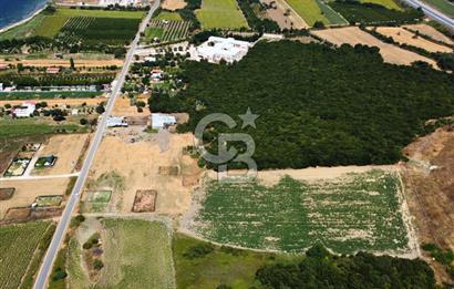 Çanakkale Lapseki Suluca'da Etrafı Orman Boğaz Manzaralı Arazi