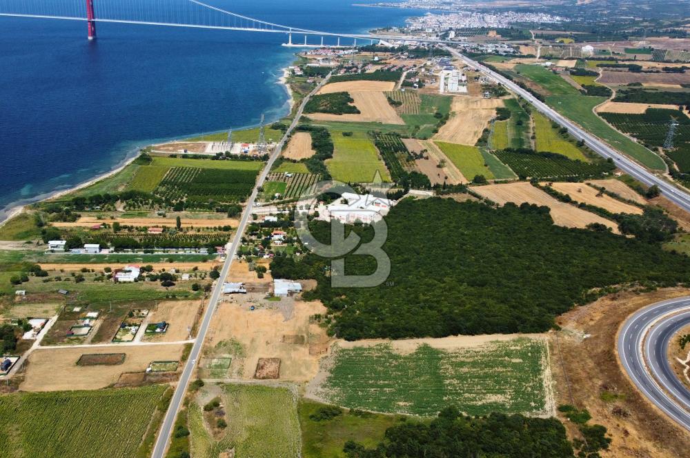 Çanakkale Lapseki Suluca'da Etrafı Orman Boğaz Manzaralı Arazi