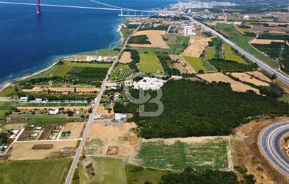 Çanakkale Lapseki Suluca'da Etrafı Orman Boğaz Manzaralı Arazi