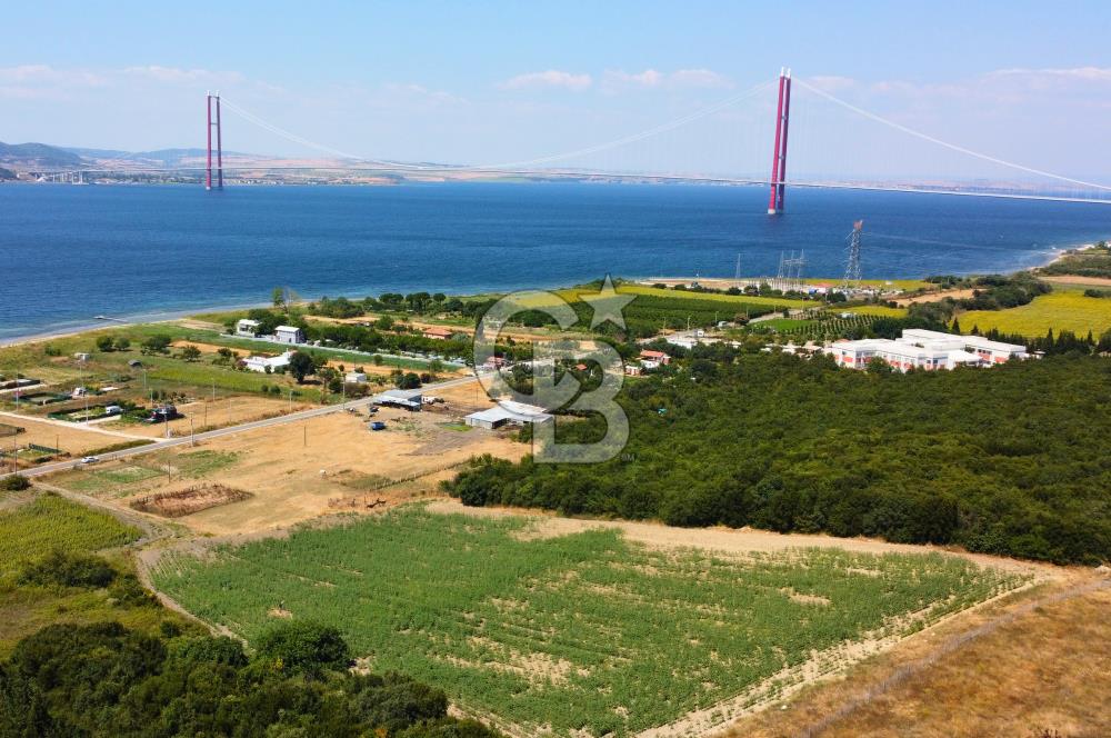 Çanakkale Lapseki Suluca'da Etrafı Orman Boğaz Manzaralı Arazi