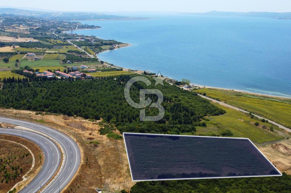 Çanakkale Lapseki Suluca'da Etrafı Orman Boğaz Manzaralı Arazi