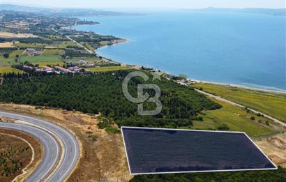 Çanakkale Lapseki Suluca'da Etrafı Orman Boğaz Manzaralı Arazi