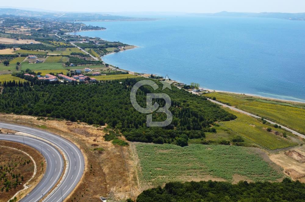 Çanakkale Lapseki Suluca'da Etrafı Orman Boğaz Manzaralı Arazi