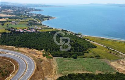 Çanakkale Lapseki Suluca'da Etrafı Orman Boğaz Manzaralı Arazi