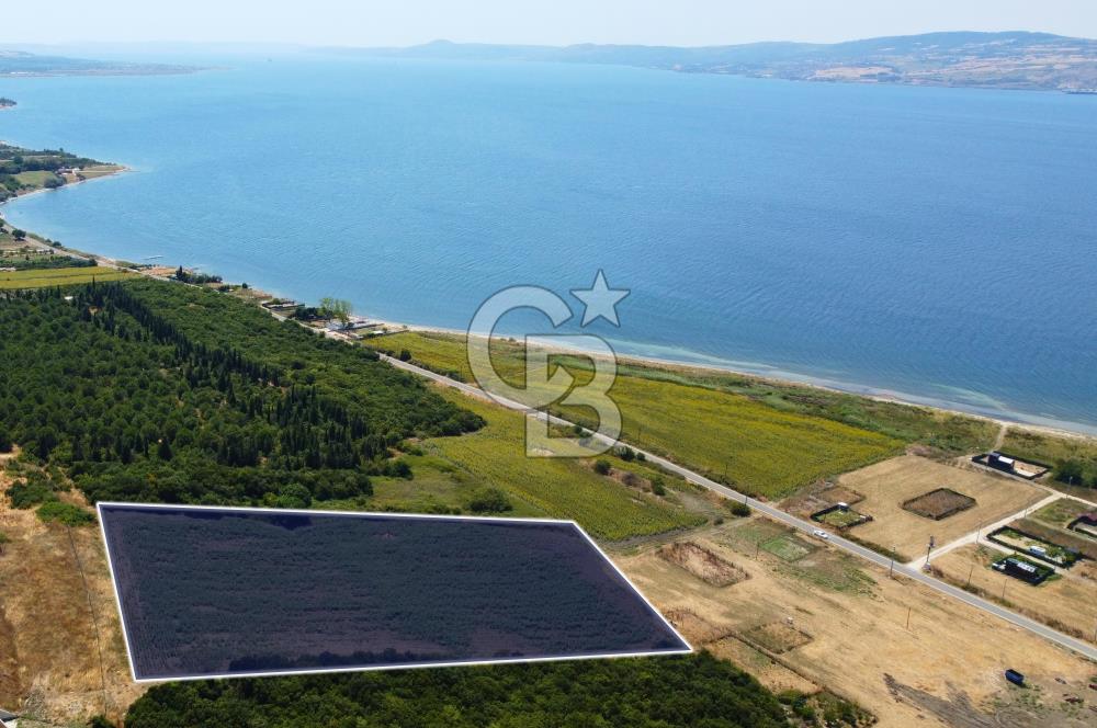 Çanakkale Lapseki Suluca'da Etrafı Orman Boğaz Manzaralı Arazi