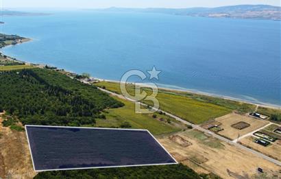 Çanakkale Lapseki Suluca'da Etrafı Orman Boğaz Manzaralı Arazi