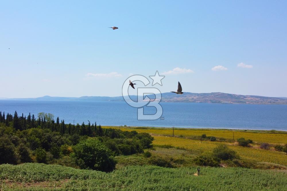 Çanakkale Lapseki Suluca'da Etrafı Orman Boğaz Manzaralı Arazi