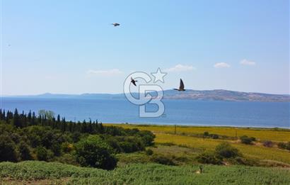 Çanakkale Lapseki Suluca'da Etrafı Orman Boğaz Manzaralı Arazi