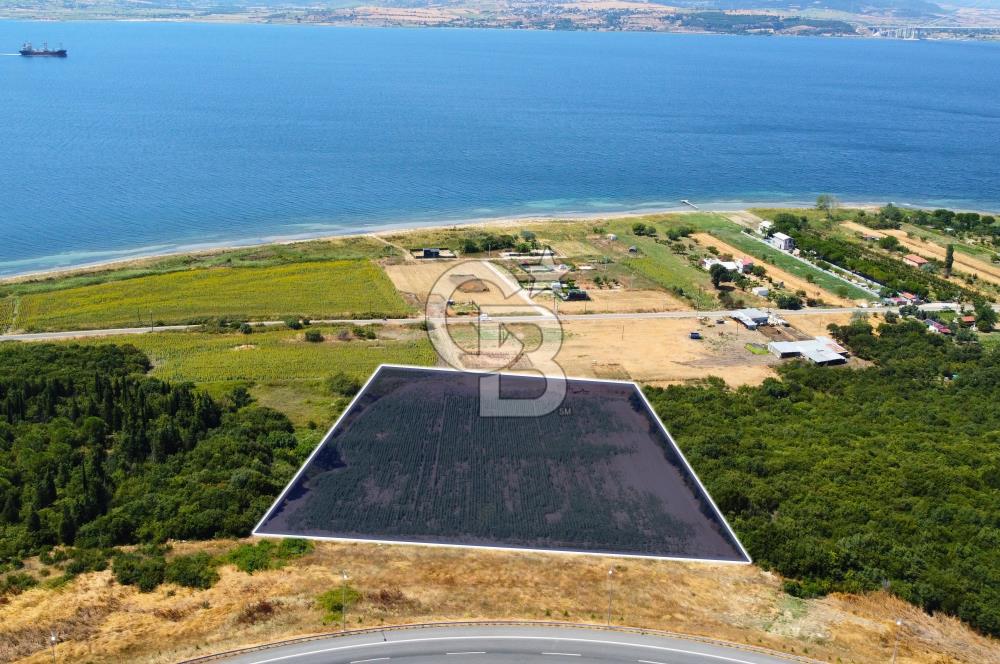 Çanakkale Lapseki Suluca'da Etrafı Orman Boğaz Manzaralı Arazi