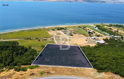Çanakkale Lapseki Suluca'da Etrafı Orman Boğaz Manzaralı Arazi