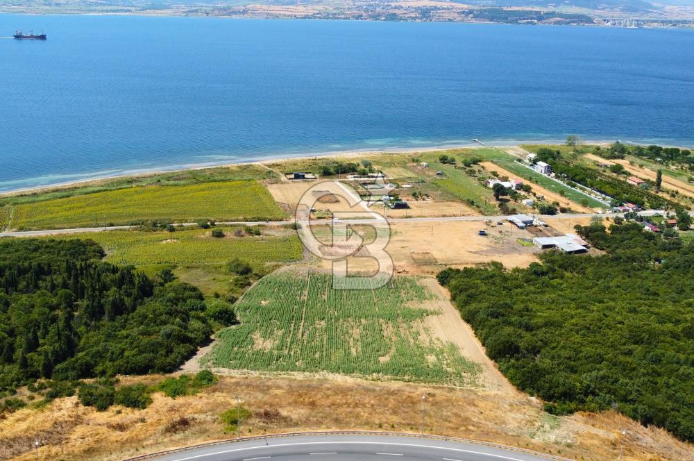 Çanakkale Lapseki Suluca'da Etrafı Orman Boğaz Manzaralı Arazi