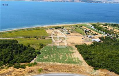 Çanakkale Lapseki Suluca'da Etrafı Orman Boğaz Manzaralı Arazi
