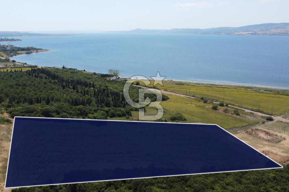 Çanakkale Lapseki Suluca'da Etrafı Orman Boğaz Manzaralı Arazi
