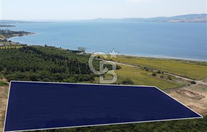 Çanakkale Lapseki Suluca'da Etrafı Orman Boğaz Manzaralı Arazi