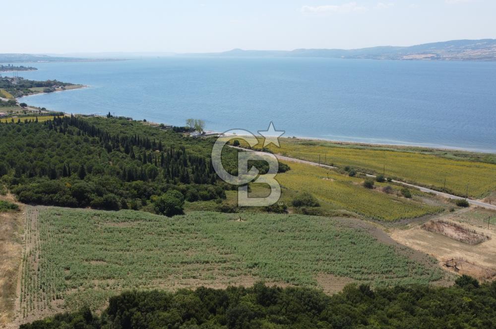 Çanakkale Lapseki Suluca'da Etrafı Orman Boğaz Manzaralı Arazi