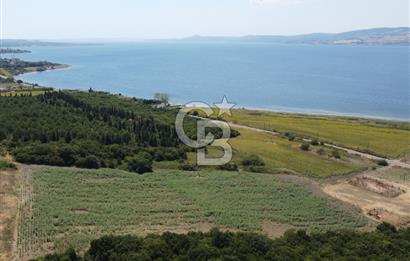 Çanakkale Lapseki Suluca'da Etrafı Orman Boğaz Manzaralı Arazi