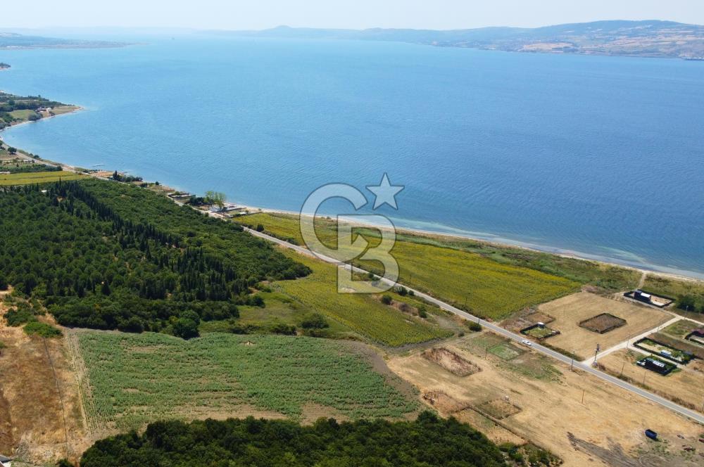 Çanakkale Lapseki Suluca'da Etrafı Orman Boğaz Manzaralı Arazi