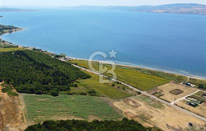 Çanakkale Lapseki Suluca'da Etrafı Orman Boğaz Manzaralı Arazi