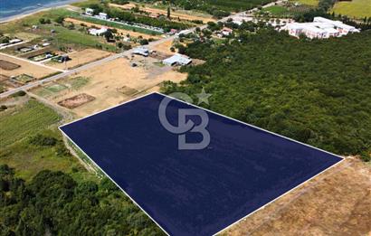 Çanakkale Lapseki Suluca'da Etrafı Orman Boğaz Manzaralı Arazi