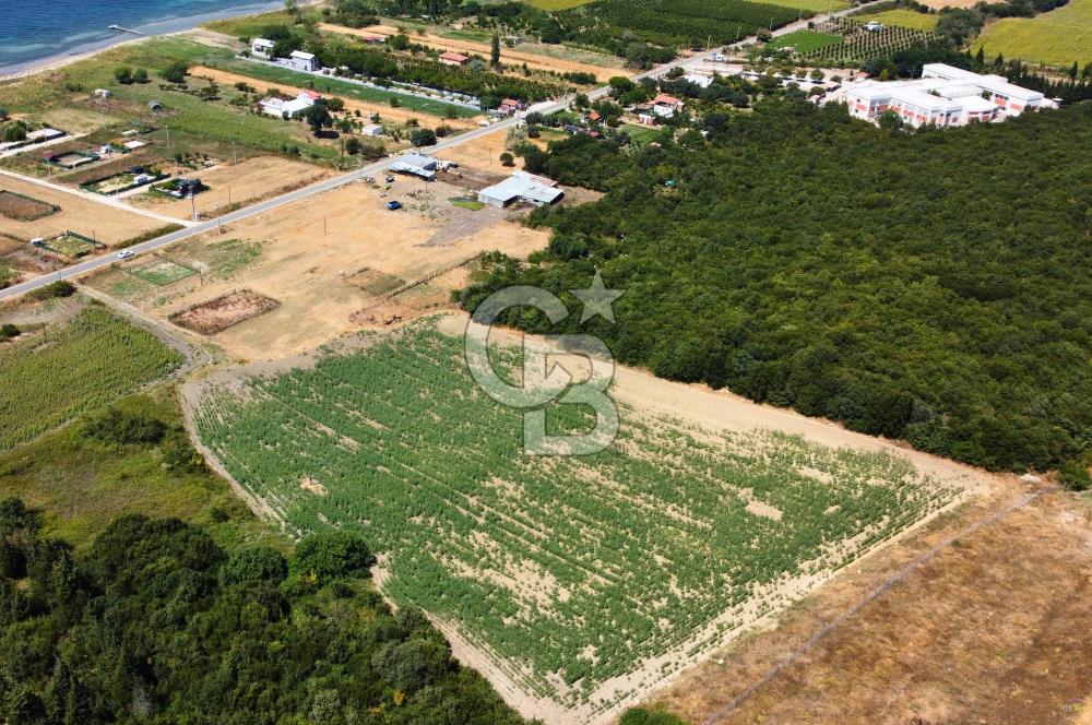 Çanakkale Lapseki Suluca'da Etrafı Orman Boğaz Manzaralı Arazi