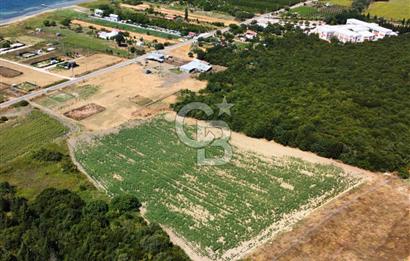 Çanakkale Lapseki Suluca'da Etrafı Orman Boğaz Manzaralı Arazi