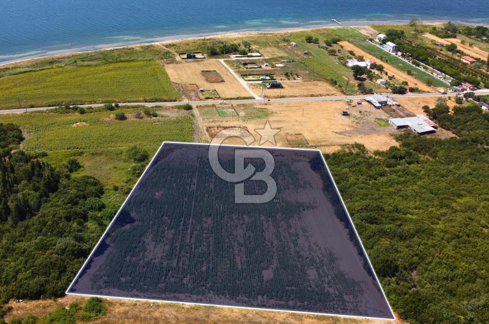 Çanakkale Lapseki Suluca'da Etrafı Orman Boğaz Manzaralı Arazi