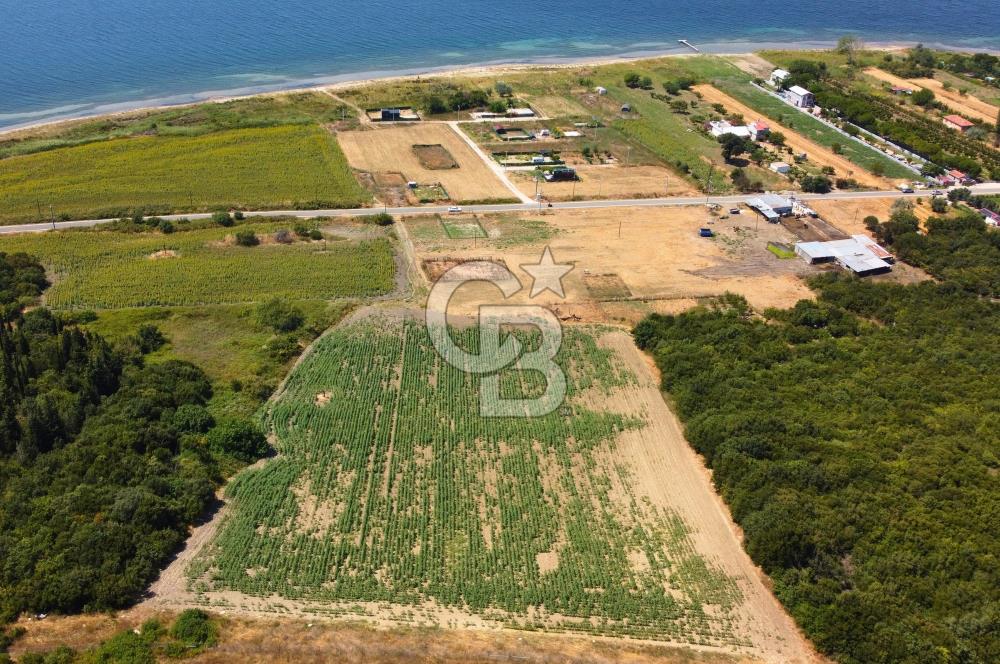 Çanakkale Lapseki Suluca'da Etrafı Orman Boğaz Manzaralı Arazi