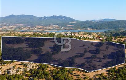 Çanakkale Ayvacık Küçükhusun 33.735m² Eko Turizm İmarlı Arsa