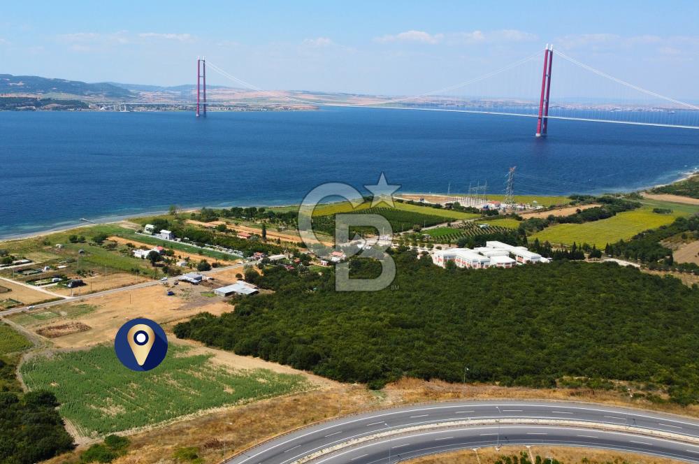 Çanakkale Lapseki Suluca'da Etrafı Orman Boğaz Manzaralı Arazi