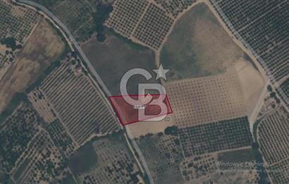 Çanakkale Lapseki'de Yola Cepheli, Boğaz Manzaralı Satılık Tarla