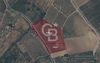 Çanakkale Lapseki'de Yola Cepheli, Boğaz Manzaralı Satılık Tarla