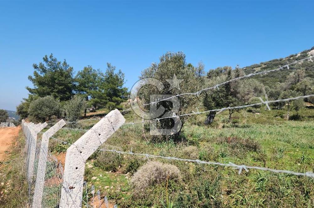 GÜZELBAHÇE YELKİ'DE YATIRIMLIK MÜKEMMEL KONUMDA SATILIK TARLA