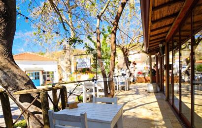 URLA ÖZBEK DEVREN KİRALIK CAFE-RESTAURANT