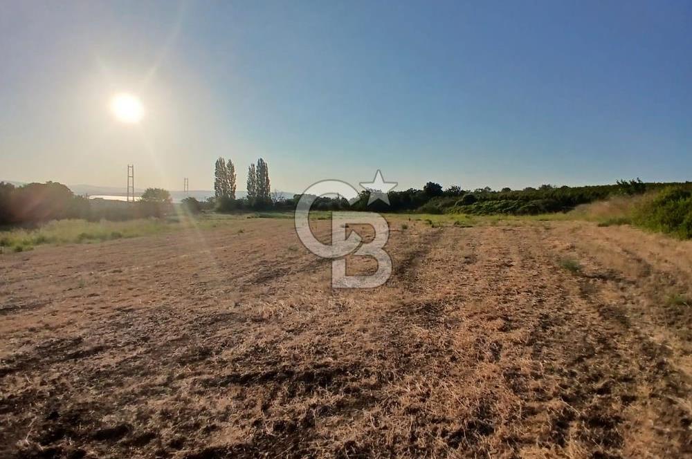 Çanakkale Lapseki'de Yola Cepheli, Boğaz Manzaralı Satılık Tarla