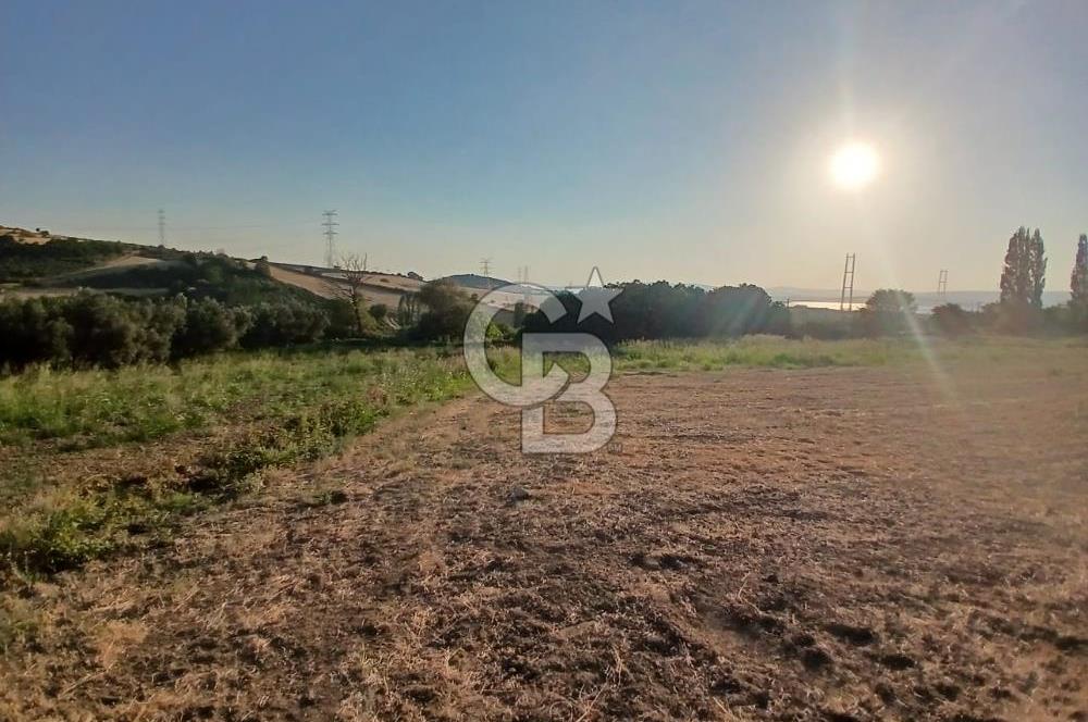 Çanakkale Lapseki'de Yola Cepheli, Boğaz Manzaralı Satılık Tarla