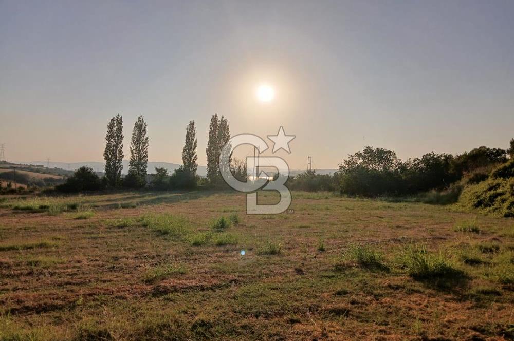 Çanakkale Lapseki'de Yola Cepheli, Boğaz Manzaralı Satılık Tarla