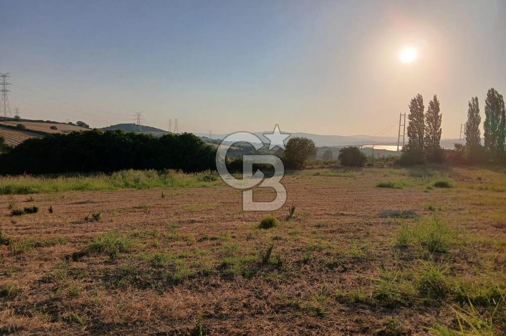 Çanakkale Lapseki'de Yola Cepheli, Boğaz Manzaralı Satılık Tarla
