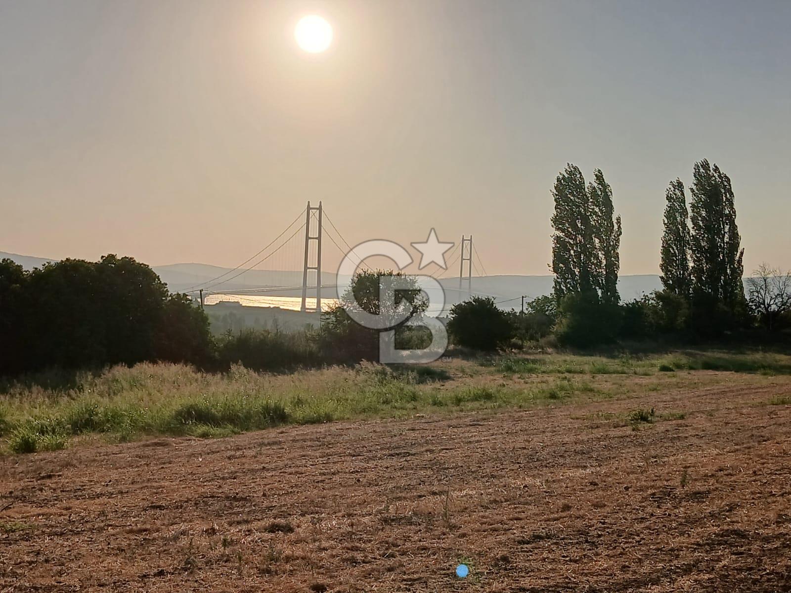 Çanakkale Lapseki'de Yola Cepheli, Boğaz Manzaralı Satılık Tarla