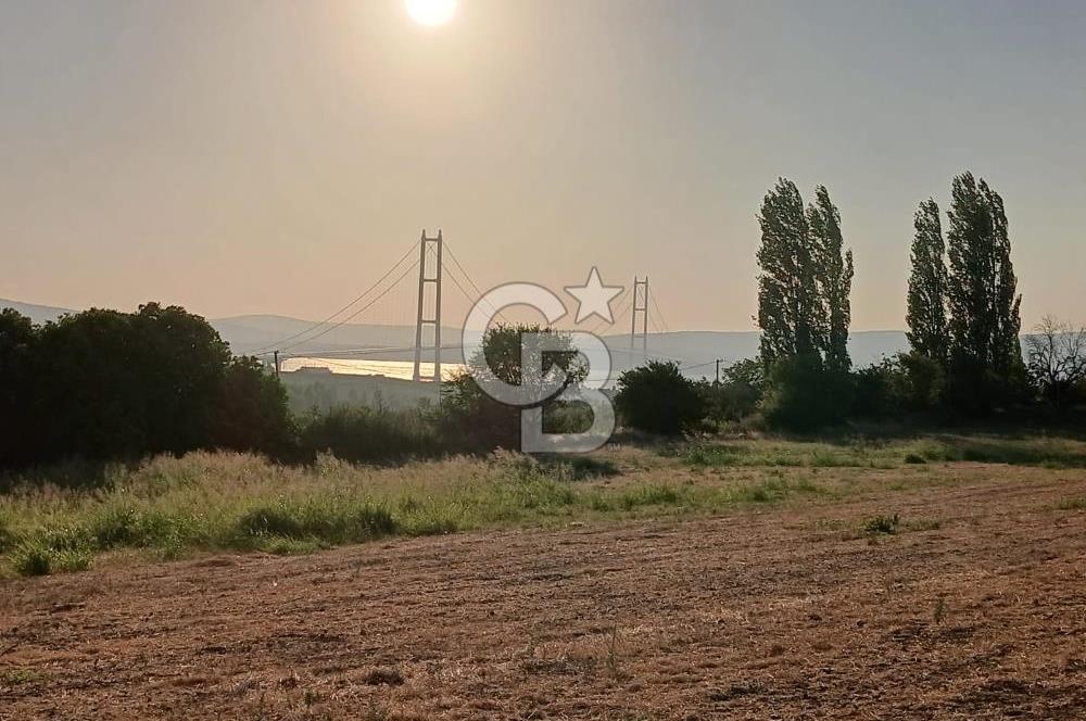 Çanakkale Lapseki'de Yola Cepheli, Boğaz Manzaralı Satılık Tarla