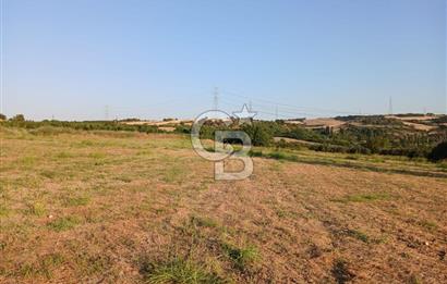 Çanakkale Lapseki'de Yola Cepheli, Boğaz Manzaralı Satılık Tarla