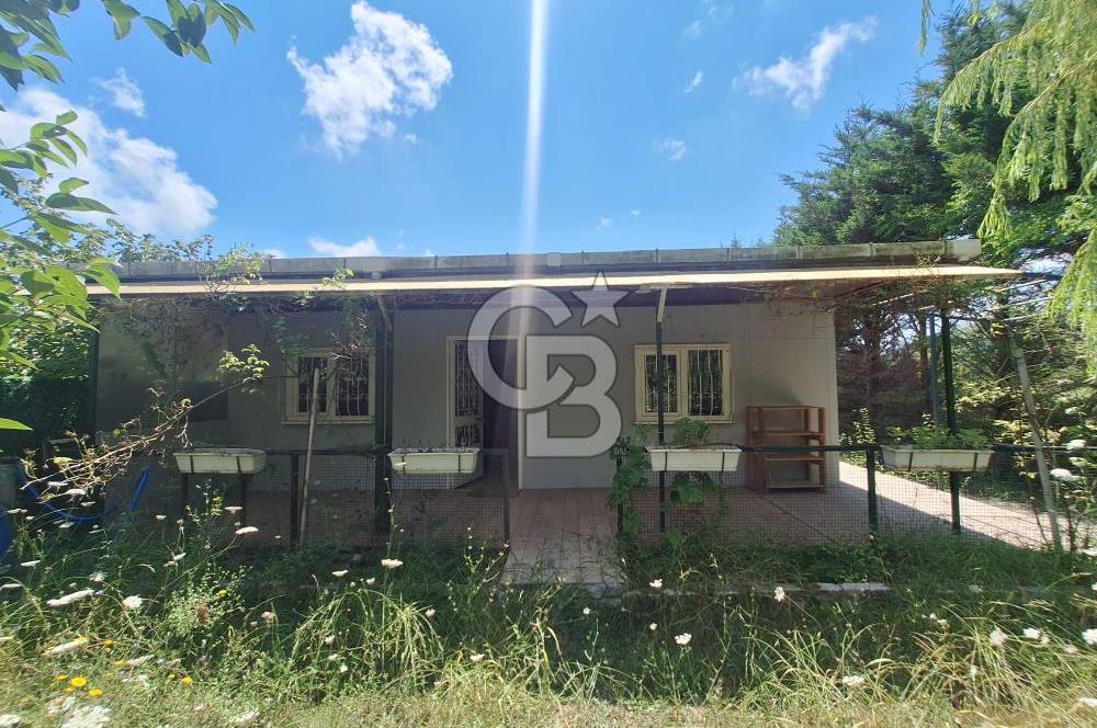 İÇİNDE RUHSATLI 56 M² EV OLAN 875 M² TARLA