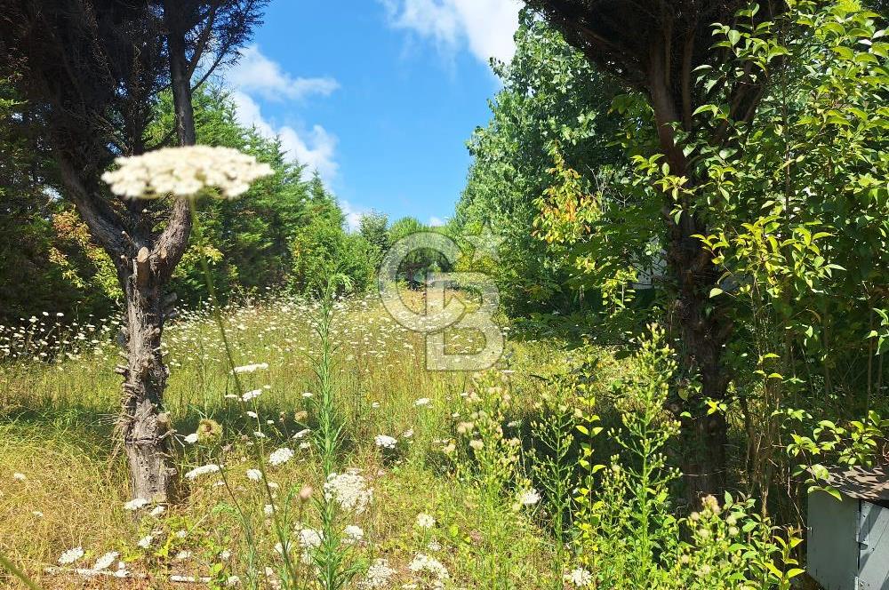 İÇİNDE RUHSATLI 56 M² EV OLAN 875 M² TARLA