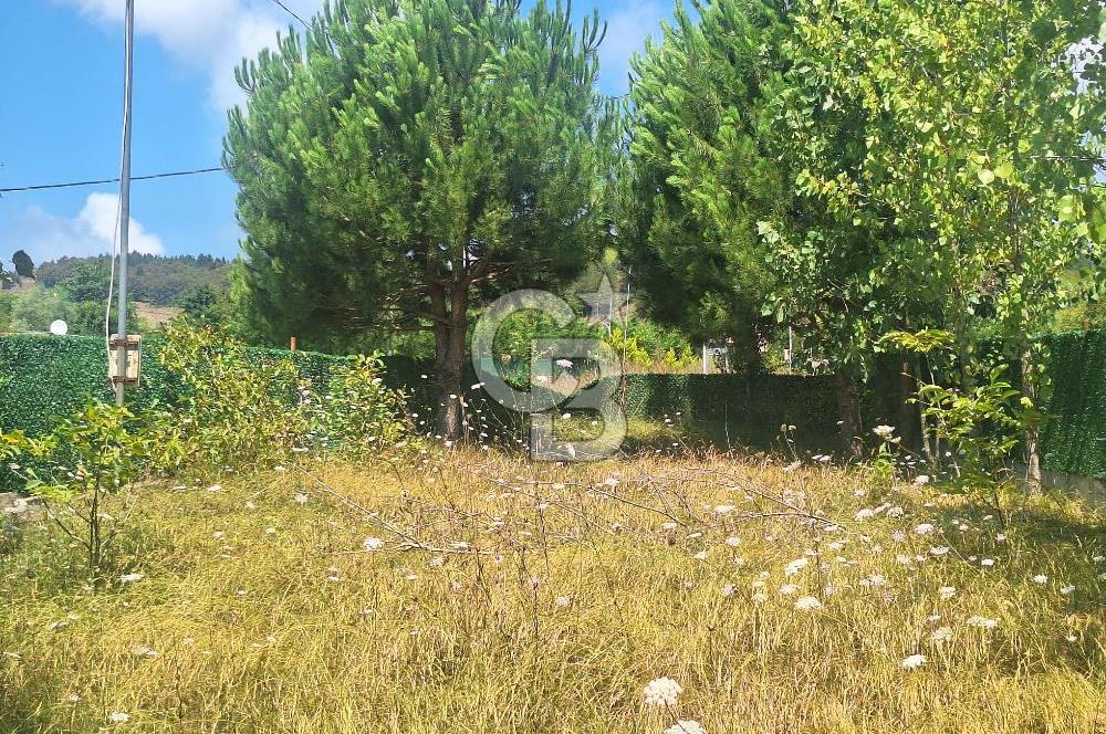 İÇİNDE RUHSATLI 56 M² EV OLAN 875 M² TARLA