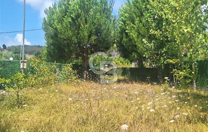 İÇİNDE RUHSATLI 56 M² EV OLAN 875 M² TARLA