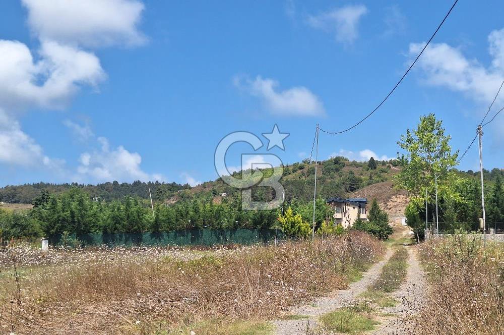 İÇİNDE RUHSATLI 56 M² EV OLAN 875 M² TARLA