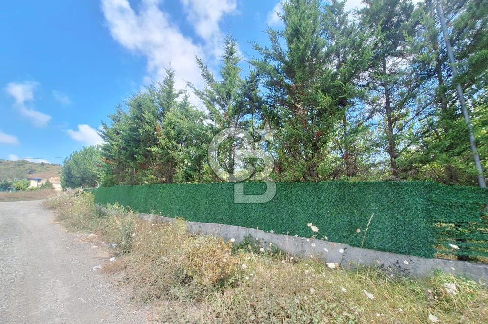 İÇİNDE RUHSATLI 56 M² EV OLAN 875 M² TARLA